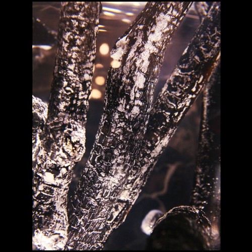 Side Table Burnt Branches A