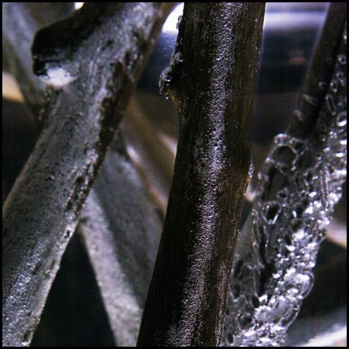 Bouts de Canapé PC - Clear - Branches verre - Pacific Compagnie.