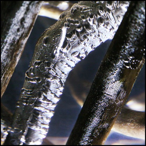 Side Table Bleu Nature - Clear Branches