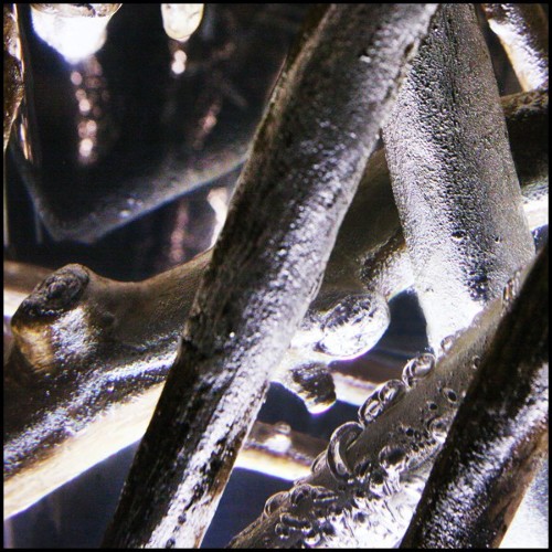 Side Table Bleu Nature - Clear Branches