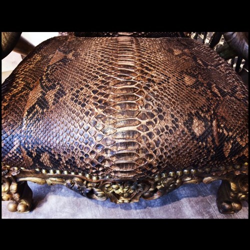 Trône PC - Python - Corne zébu - Pacific Compagnie.