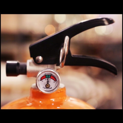 Extinguisher Cobra Art - Hermes Paris