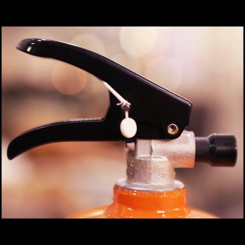 Extinguisher Cobra Art - Hermes Paris