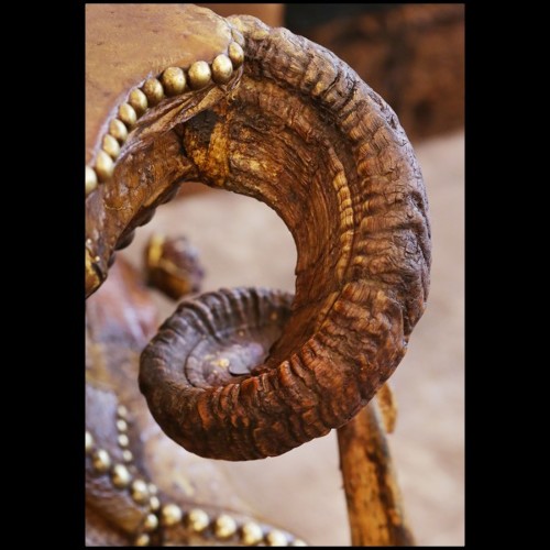Chest of drawers with real crocodile skin real horns and amethyst stones PC-Crocodile and Amethyst