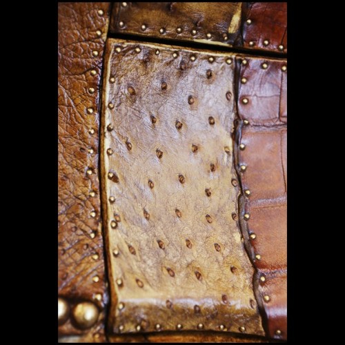 Chest of drawers with real crocodile skin real horns and amethyst stones PC-Crocodile and Amethyst
