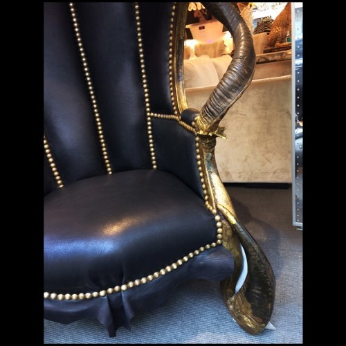Fauteuil couvert avec véritable peau de zèbre de Burchell avec cornes naturelles véritables PC-Zebra Black