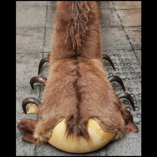 Armchair with aries and buffalo and wildebeest Horns PC-Savage Horse