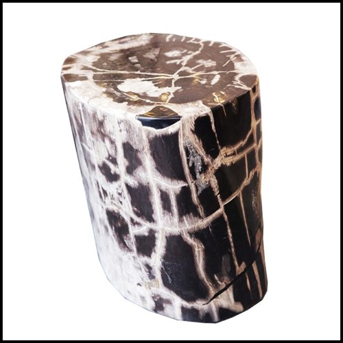 Table d'appoint en bois massif pétrifié d'Indonésie n°C PC-Petrified WC