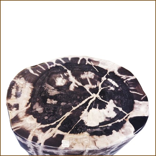Side table in solid petrified wood from Indonesia n°C PC-Petrified WC