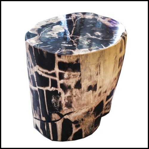 Table d'appoint en bois massif pétrifié d'Indonésie n°C PC-Petrified WC