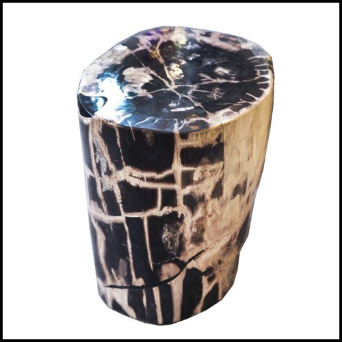 Side table in solid petrified wood from Indonesia n°C PC-Petrified WC