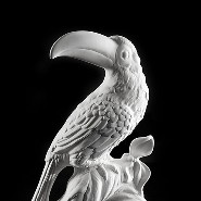 Sculpture de Toucan en céramique blanche 162-Toucan white